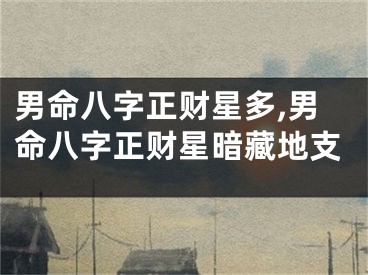 男命八字正财星多,男命八字正财星暗藏地支