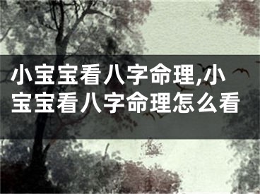小宝宝看八字命理,小宝宝看八字命理怎么看