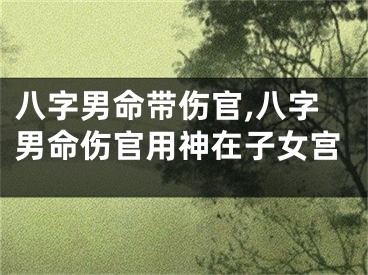 八字男命带伤官,八字男命伤官用神在子女宫