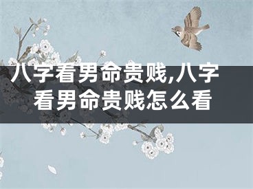 八字看男命贵贱,八字看男命贵贱怎么看