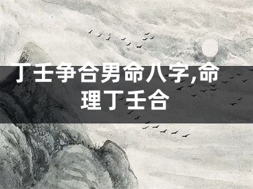 丁壬争合男命八字,命理丁壬合