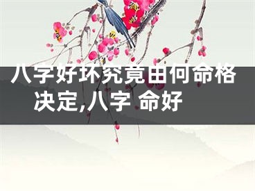 八字好坏究竟由何命格决定,八字 命好