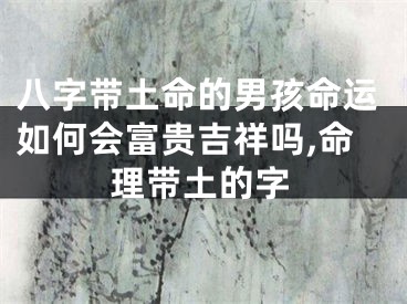 八字带土命的男孩命运如何会富贵吉祥吗,命理带土的字