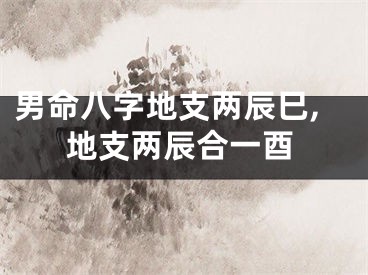 男命八字地支两辰巳,地支两辰合一酉