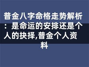 普金八字命格走势解析：是命运的安排还是个人的抉择,普金个人资料