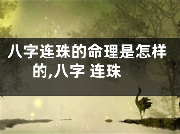 八字连珠的命理是怎样的,八字 连珠