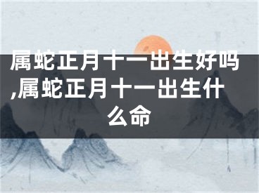 属蛇正月十一出生好吗,属蛇正月十一出生什么命