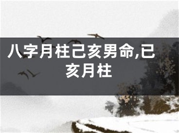 八字月柱己亥男命,已亥月柱