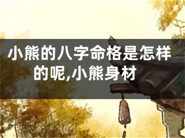 小熊的八字命格是怎样的呢,小熊身材