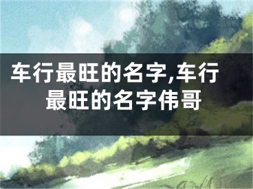车行最旺的名字,车行最旺的名字伟哥