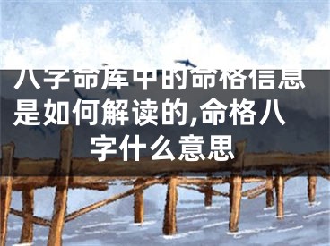 八字命库中的命格信息是如何解读的,命格八字什么意思