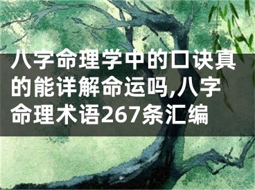 八字命理学中的口诀真的能详解命运吗,八字命理术语267条汇编