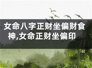 女命八字正财坐偏财食神,女命正财坐偏印