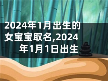 2024年1月出生的女宝宝取名,2024年1月1日出生