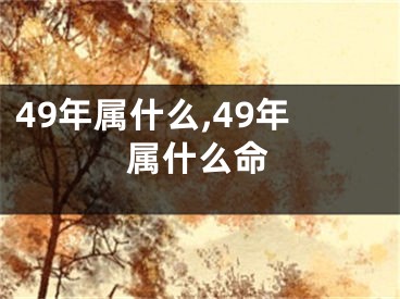 49年属什么,49年属什么命