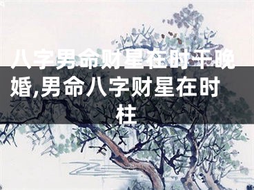 八字男命财星在时干晚婚,男命八字财星在时柱