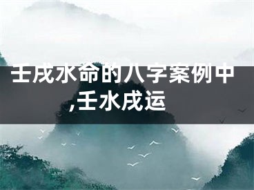 壬戌水命的八字案例中,壬水戌运