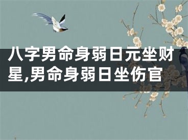 八字男命身弱日元坐财星,男命身弱日坐伤官