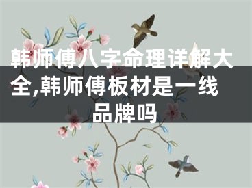 韩师傅八字命理详解大全,韩师傅板材是一线品牌吗