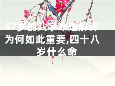 47岁的八字命理解释为何如此重要,四十八岁什么命