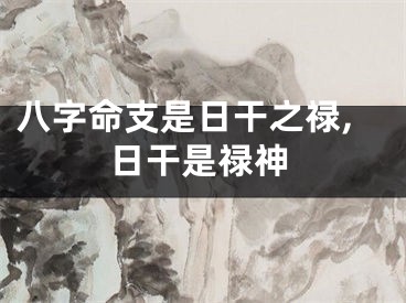 八字命支是日干之禄,日干是禄神
