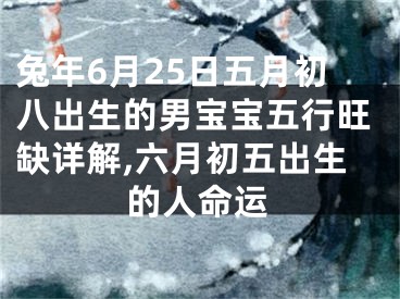 兔年6月25日五月初八出生的男宝宝五行旺缺详解,六月初五出生的人命运