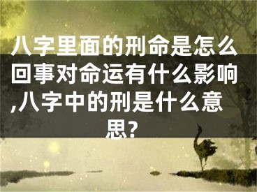 八字里面的刑命是怎么回事对命运有什么影响,八字中的刑是什么意思?