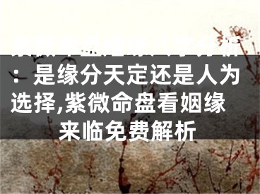 紫薇命盘姻缘八字分析：是缘分天定还是人为选择,紫微命盘看姻缘来临免费解析