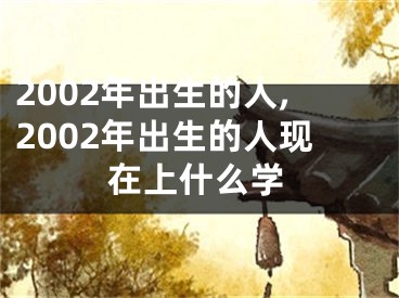 2002年出生的人,2002年出生的人现在上什么学
