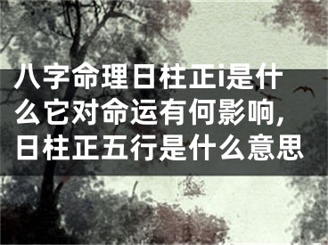 八字命理日柱正i是什么它对命运有何影响,日柱正五行是什么意思