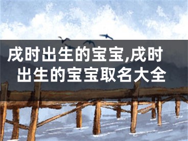 戌时出生的宝宝,戌时出生的宝宝取名大全