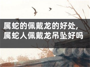 属蛇的佩戴龙的好处,属蛇人佩戴龙吊坠好吗