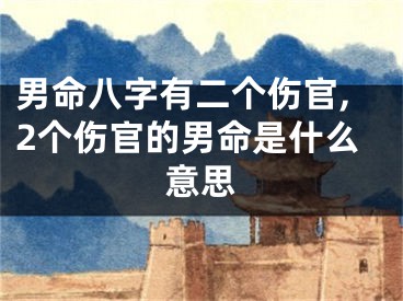 男命八字有二个伤官,2个伤官的男命是什么意思