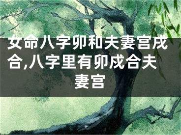 女命八字卯和夫妻宫戌合,八字里有卯戍合夫妻宫