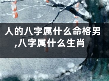 人的八字属什么命格男,八字属什么生肖