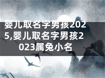 婴儿取名字男孩2025,婴儿取名字男孩2023属兔小名
