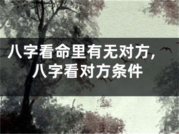 八字看命里有无对方,八字看对方条件