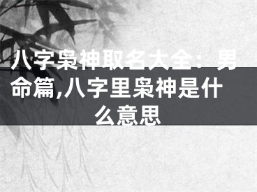 八字枭神取名大全：男命篇,八字里枭神是什么意思