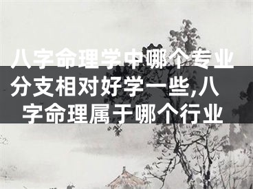 八字命理学中哪个专业分支相对好学一些,八字命理属于哪个行业