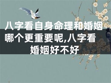 八字看自身命理和婚姻哪个更重要呢,八字看婚姻好不好