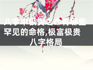 八字中极贵之命有哪些罕见的命格,极富极贵八字格局