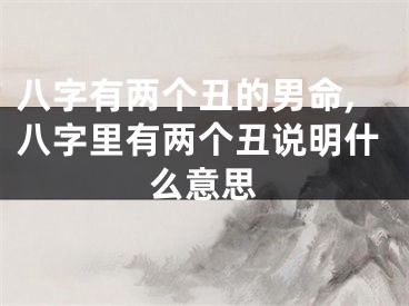 八字有两个丑的男命,八字里有两个丑说明什么意思