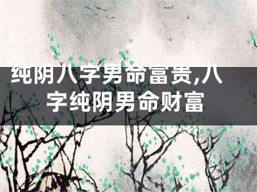 纯阴八字男命富贵,八字纯阴男命财富