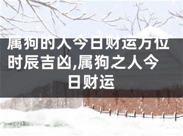 属狗的人今日财运方位时辰吉凶,属狗之人今日财运
