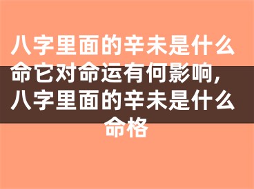 八字里面的辛未是什么命它对命运有何影响,八字里面的辛未是什么命格