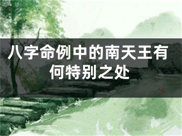 八字命例中的南天王有何特别之处