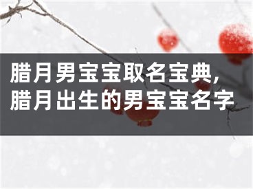 腊月男宝宝取名宝典,腊月出生的男宝宝名字