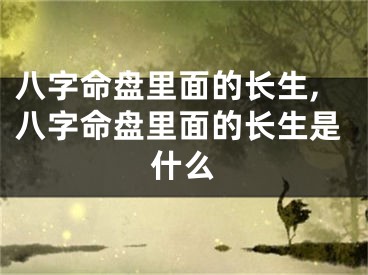 八字命盘里面的长生,八字命盘里面的长生是什么