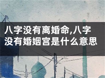 八字没有离婚命,八字没有婚姻宫是什么意思