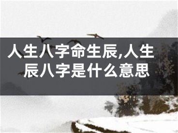人生八字命生辰,人生辰八字是什么意思